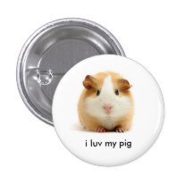 guinea pig pins