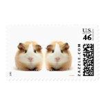 GUINEA PIG stamps