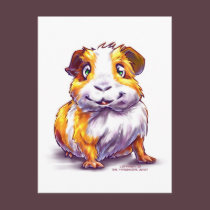 Guinea-pig postcards