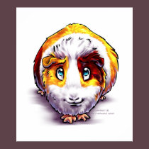 Guinea-pig posters