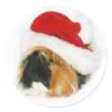 Guinea Pig Santa stickers by deemac1 Guinea Pig Santa stickers