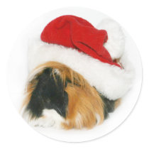 Guinea Pig Santa stickers by deemac1 Guinea Pig Santa stickers