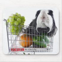 Guinea pig shopping spree mousepads