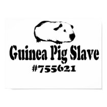 Guinea Pig Slave posters by ComfyCavy Guinea Pig Slave posters