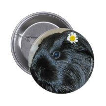Guinea pig Squee Pin