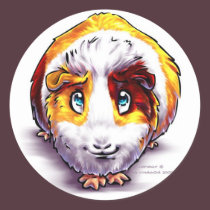 Guinea-pig stickers