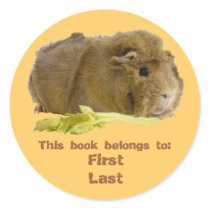 Guinea Pig stickers by Exit178 Guinea Pig stickers