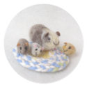 Guinea Pig Stickers by lovinclaydolls Guinea Pig Stickers