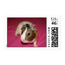 Guinea Pig With Bow 2 Stamp