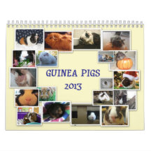 Guinea Pigs 2013