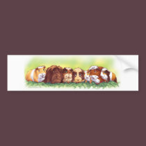 Guinea Pigs bumper stickers