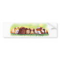 Guinea Pigs bumper stickers by Fany001 Guinea Pigs bumper stickers