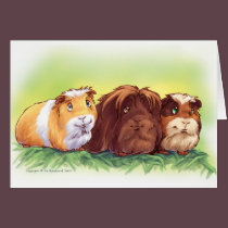 Guinea Pigs cards
