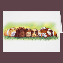 Guinea Pigs cards