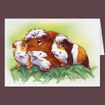 Guinea Pigs cards