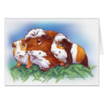 Guinea Pigs