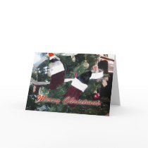 Guinea Pigs Christmas cards by CraigSnedeker Guinea Pigs Christmas cards