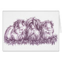 ##imgtitle## Guinea Pigs I cards