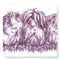 Guinea Pigs I posters by Fany001 Guinea Pigs I posters