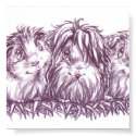 ##imgtitle## Guinea Pigs I posters