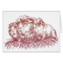 ##imgtitle## Guinea Pigs II cards
