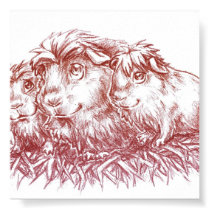 Guinea Pigs II posters by Fany001 Guinea Pigs II posters