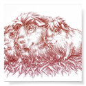 ##imgtitle## Guinea Pigs II posters