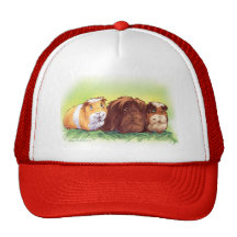 Guinea Pigs Mesh Hats