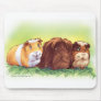 Guinea Pigs Mouse Mat