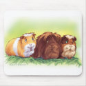 Guinea Pigs mousepads by Fany001 Guinea Pigs mousepads