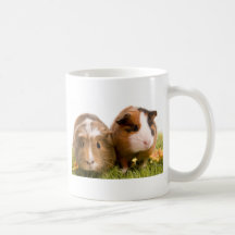 guinea pigs one has lawn coffee mugs