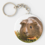 guinea pigs one has lawn key chain