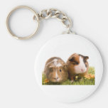 guinea pigs one has lawn keychains