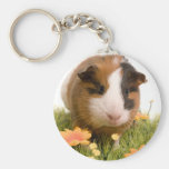 guinea pigs one has lawn keychains
