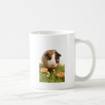 guinea pigs one has lawn mug