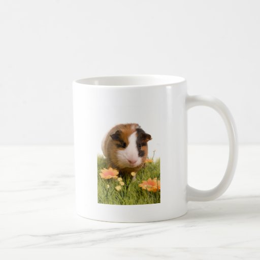 guinea pigs one has lawn mug