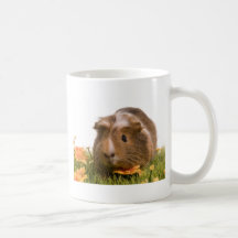 guinea pigs one has lawn mugs