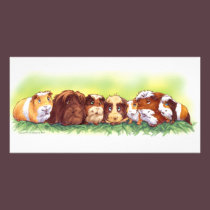 Guinea Pigs photo cards