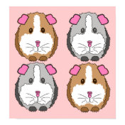 Guinea Pigs