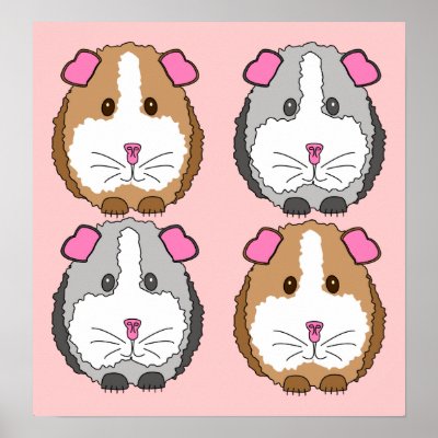 Guinea Pigs Poster Print