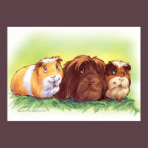 Guinea Pigs posters