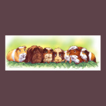 Guinea Pigs posters