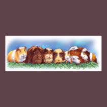 Guinea Pigs posters