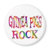 Guinea Pigs Rock Refrigerator Magnets