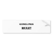 Guinea Pigs Rule bumper stickers by AnimalShirts Guinea Pigs Rule bumper stickers