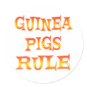 Guinea Pigs Rule stickers by AllPetsStore Guinea Pigs Rule stickers