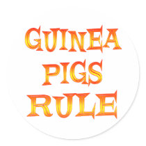 Guinea Pigs Rule stickers by AllPetsStore Guinea Pigs Rule stickers