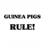 Guinea Pigs Rule