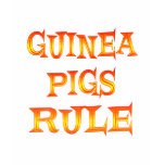 Guinea Pigs Rule
