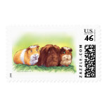 Guinea Pigs Stamp